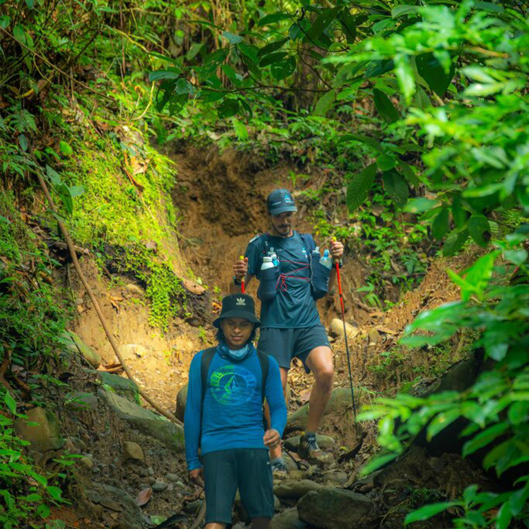 Läufer im Regenwald